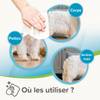 Lingettes Universal 100 % végétales chien et chat aloe vera Beaphar
