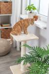 Poteau griffoir pour chat