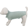 Pull pour chien Berlin Sauge