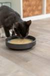 Soupe pour chat liquide, hydratation, Saumon Poulet, Taurine