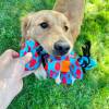 KONG Jouet signature dynos Medium pour Chien