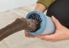 Brosse nettoyante pour pattes de chien