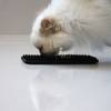 Tapis de léchage ventouse pour chat