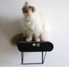 Griffoir mural en carton pour chat