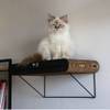 Griffoir mural en carton pour chat