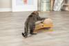 Griffoir en jute avec balle et rampe pour chat