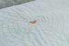 Matelas pour chiot confortable bleu/gris