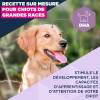 Eukanuba croquettes puppy grand chien agneau riz