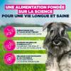 Eukanuba croquettes pour petit chien adulte