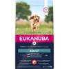 Eukanuba croquettes pour chien adulte petit et moyen saumon 12 kg