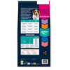 Eukanuba croquettes pour chien adulte petit et moyen saumon 12 kg