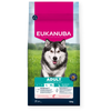 Eukanuba croquettes adulte grand chien au saumon