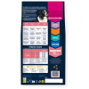 Eukanuba croquettes pour chien moyen senior au poulet frais