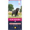 Eukanuba croquettes grand chien senior au poulet frais