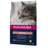 Eukanuba croquettes chat senior au poulet