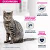 Eukanuba croquettes chat adult sans céréales au saumon