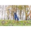 Pull pour chien Norwood bleu