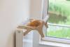 Hamac de radiateur pour chat confort et chaleur