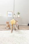 Canne à pêche étoile avec herbe à chat