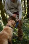 Gourde Zolux pour Chien