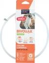 Collier lumineux pour chiens à poils courts rechargeable et ajustable