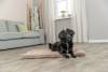 Matelas Lonni pour chien brun clair