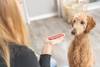 Filets pour chien 93 % de viande de bœuf