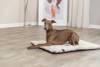 Matelas chauffant pour chien et chat