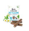 Friandises Dental Sticks pour dents et gencives pour chien