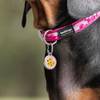 Médaille rose motif Cookie pour chien et chat