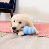 KONG Bâtonnets à mâcher Ziggies Puppy pour Chien