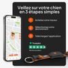 Collier traceur GPS pour chien