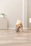 Jouet pour chien en cuir véritable arête de poisson sur corde