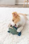 Jouet pour chien en cuir véritable et corde poisson