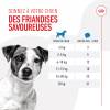ROYAL CANIN Friandises d'éducation pour chien Training Treats