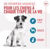 ROYAL CANIN Friandises d'éducation pour chien Training Treats
