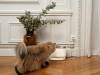Fontaine à eau filaire silencieuse pour chien et chat