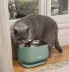 Fontaine à eau sans fil, design et silencieuse pour chien et chat