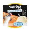 YowUp! Yaourt glacé au saumon pour chiens