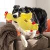 KONG Peluche Scruffs Poulet M/L pour Chien