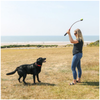 KONG HandiPOD Lanceur de balle et distributeur de sacs pour Chien