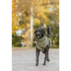 Manteau pour chien Minot vert olive