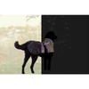 Manteau réfléchissant pour chien Limoux Reflect