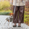 Manteau imperméable pour chien avec harnais intégré