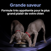 PRO PLAN FortiFlora en bouchées complément probiotique pour chien