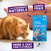 Edgard & Cooper Friandises sans céréales Crunchies au saumon pour chat