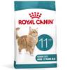 ROYAL CANIN Croquettes chat ageing 11+