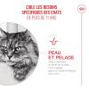 ROYAL CANIN Croquettes chat ageing 11+