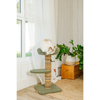 Arbre à chat griffoir en bois FSC 70 cm