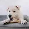 Benebone Jouet à mâcher puppy Wishbone taille S pour Chien